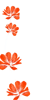 orange flowers